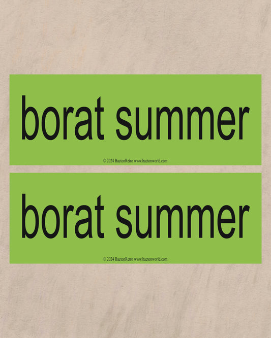 Borat Summer - Bumper Sticker (1)